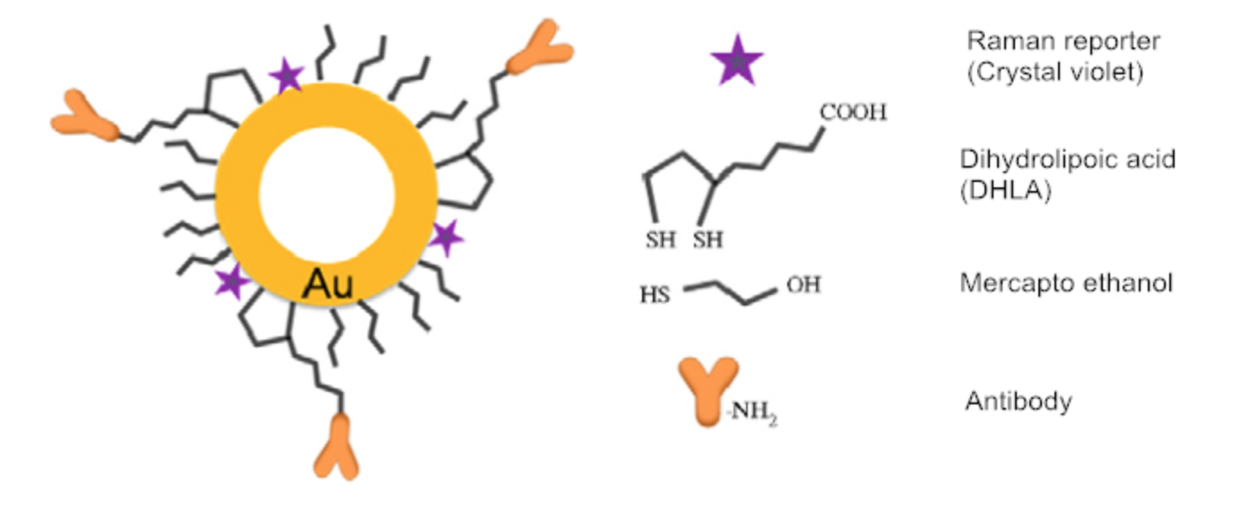 NanoHollows